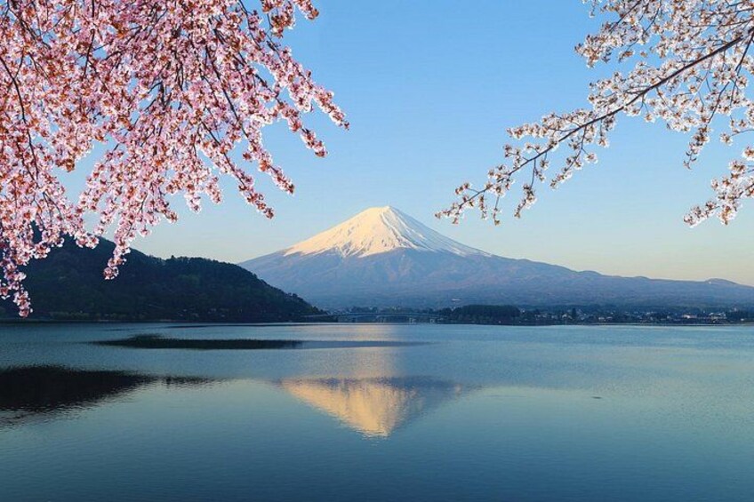 Mt. Fuji and Hakone Day Trip From Tokyo with Bullet Train Option 2