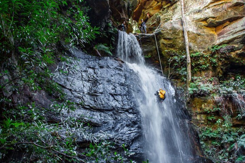 A waterfall, a person in a yellow jacket, and dense green foliage. 3