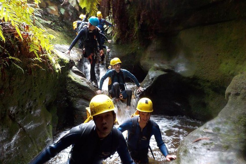 A group of people in helmets climbing a rocky path in a forested area. 4