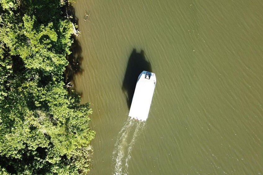 1-Hour Daintree River wildlife cruise 2
