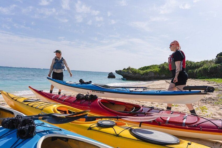 Okinawa: Private Mangrove & Lagoon Kayak - Your Pace Experience 5