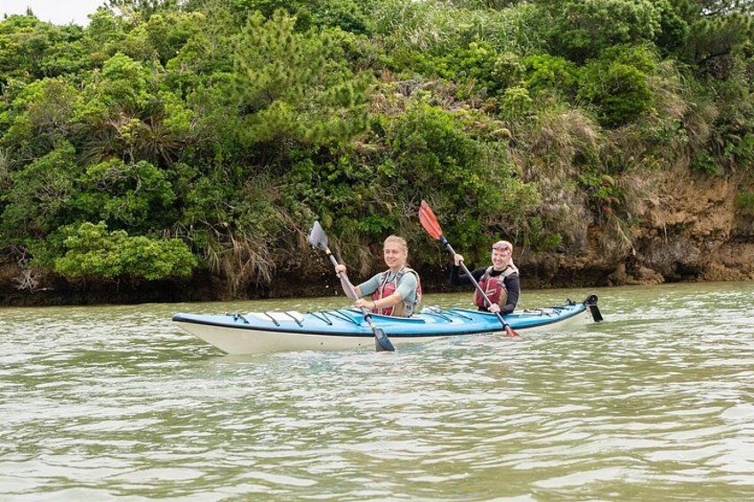 Okinawa: Private Mangrove & Lagoon Kayak - Your Pace Experience 4