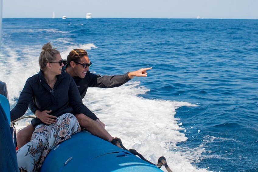 Private Tangalooma Wrecks Tour 1