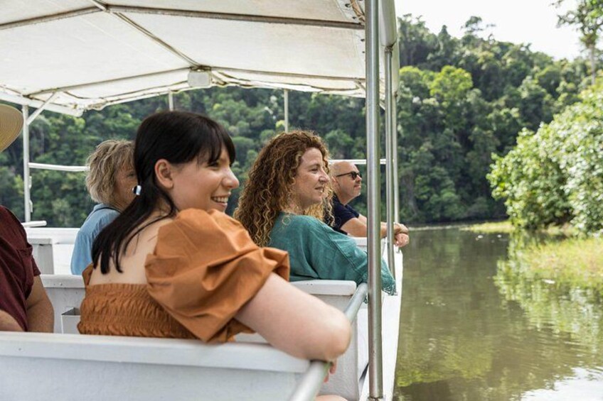 Daintree Rainforest River Cruise spotting crocodiles 3