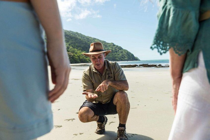 Cape Tribulation 3