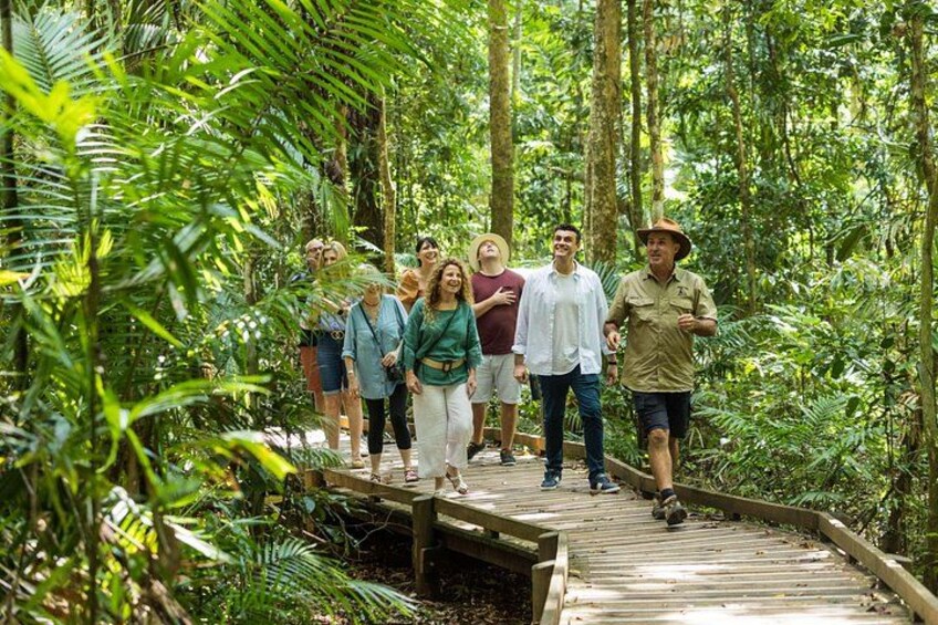 Boardwalk Tour Rainforest 1
