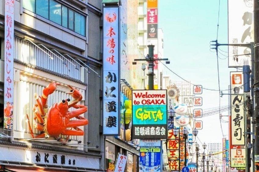 Osaka Private Tour by Public Transportation from Kyoto 3