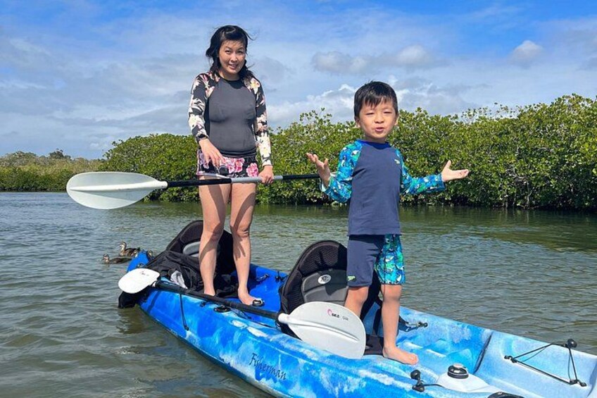 Noosa Everglade Kayak -South/Noosa End - Searching for Stingrays! 4