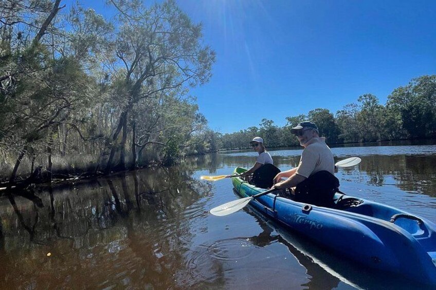 Noosa Everglade Kayak -South/Noosa End - Searching for Stingrays! 2