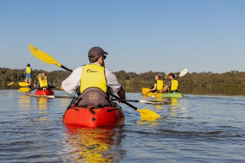 Noosa Everglade Kayak -South/Noosa End - Searching for Stingrays! 3