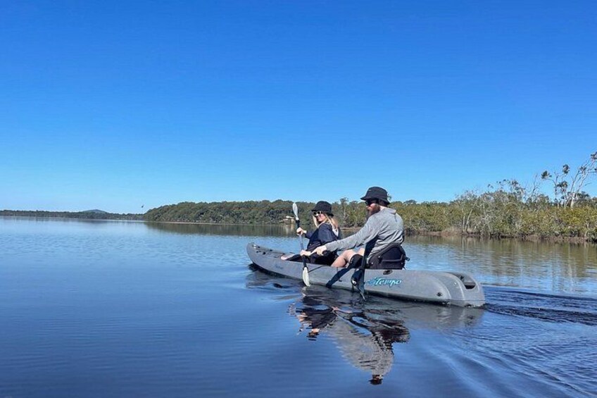 Noosa Everglade Kayak -South/Noosa End - Searching for Stingrays! 3