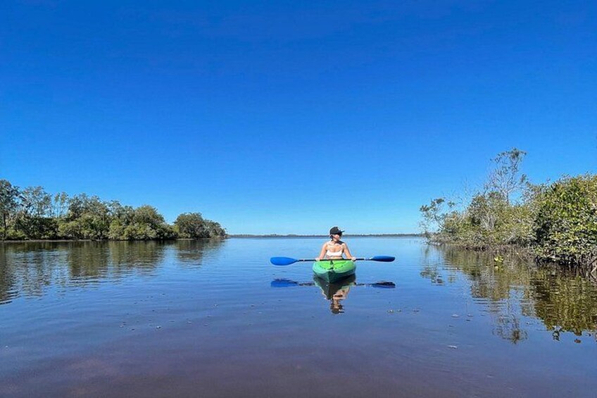 Noosa Everglade Kayak -South/Noosa End - Searching for Stingrays! 5
