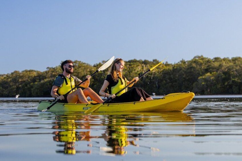 Noosa Everglade Kayak -South/Noosa End - Searching for Stingrays! 5