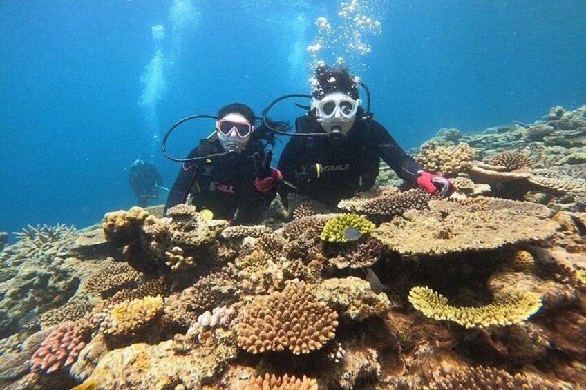 Okinawa: Discover SCUBA Diving 2 Dives at Minna, Sesoko or Motobu 3