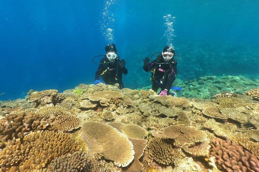 Okinawa: Discover SCUBA Diving 2 Dives at Minna, Sesoko or Motobu 1