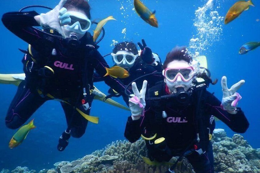 Okinawa: Discover SCUBA Diving 2 Dives at Minna, Sesoko or Motobu 4