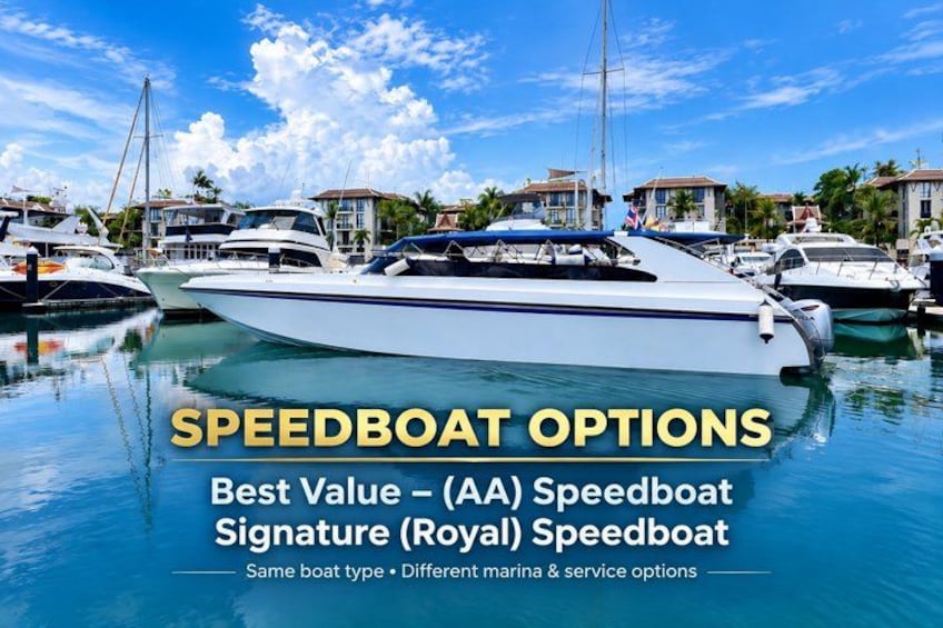 Phi Phi & Maya Bay PREMIUM Trip by Speedboat: Full Food & Pickup 4