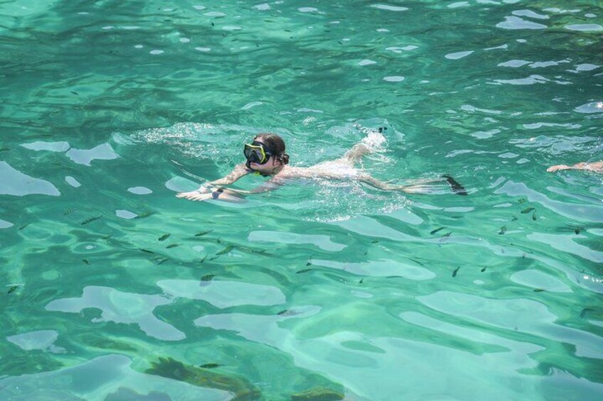 Phi Phi & Maya Bay PREMIUM Trip by Speedboat: Full Food & Pickup 4