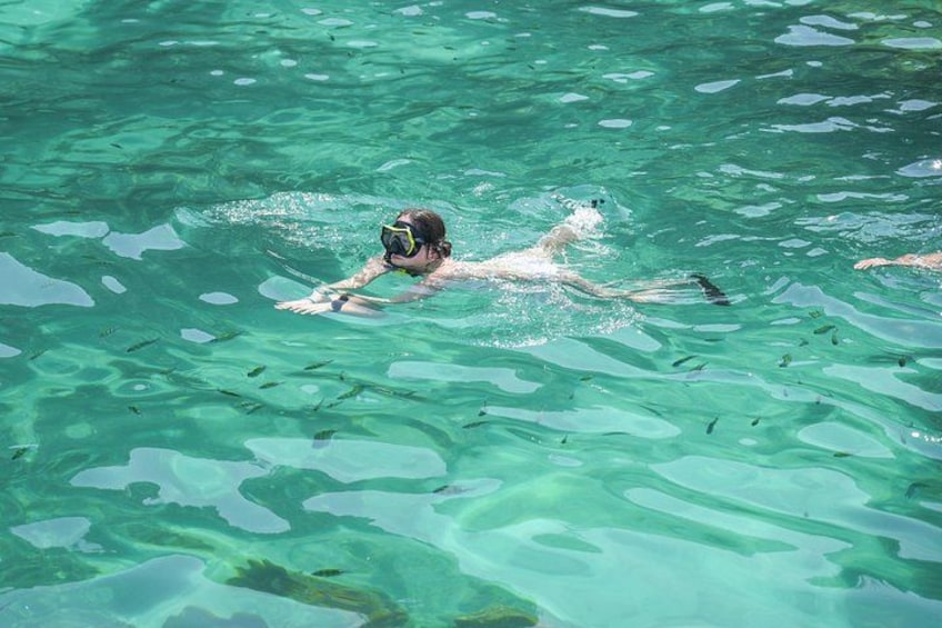 Phi Phi & Maya Bay PREMIUM Trip by Speedboat: Full Food & Pickup 5