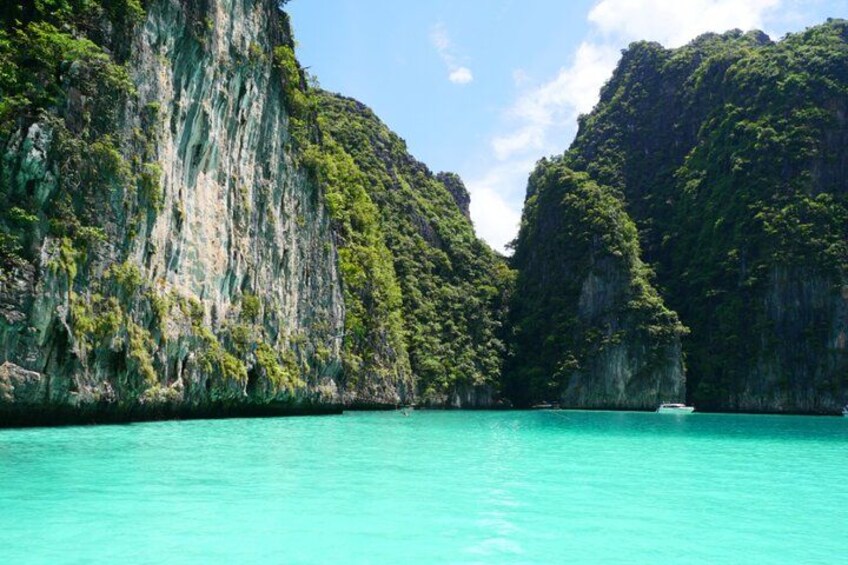 Phi Phi & Maya Bay PREMIUM Trip by Speedboat: Full Food & Pickup 4