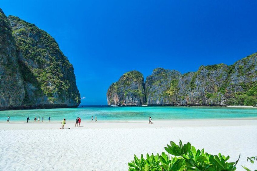 Phi Phi & Maya Bay PREMIUM Trip by Speedboat: Full Food & Pickup 2