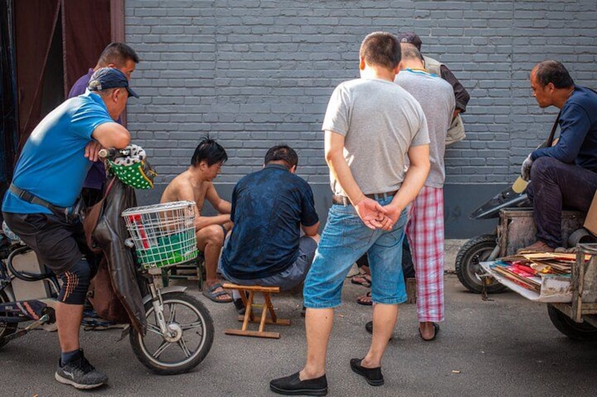 This walking tour will cover 1.5 miles / 2.5km (with lots of eating breaks) through our favorite hutongs in Beijing. Transport yourself into Beijing’s past with your local English-speaking guide. 3