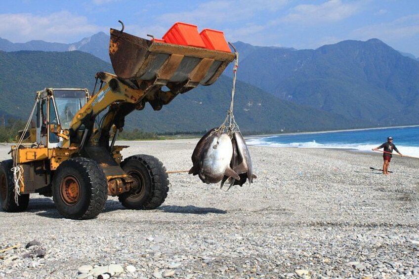 A forklift lifting a large metal container over a rocky beach with mountains in the background. 2