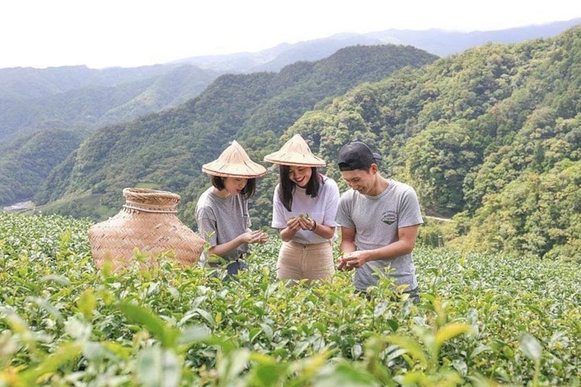 Private 1-Day Tea Experience in Taipei 1
