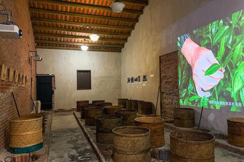 A room with wooden barrels, a projector screen displaying a hand holding a leaf, and a brick wall. 3