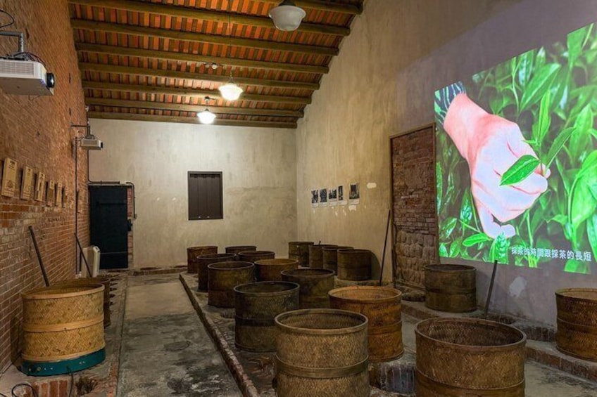 A rustic room with wooden barrels, a projector screen displaying a hand holding a leaf, and a brick wall. 2
