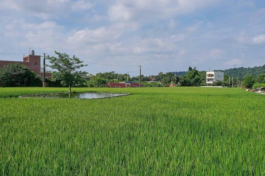 Enjoy a slow tour through the rural town of Daxi, Taiwan 5