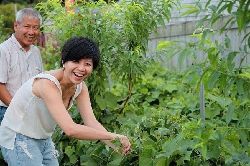 Tour an organic Daxi farm and learn about the community's local agriculture 3