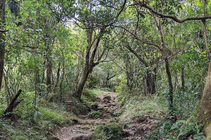 Slope in Datun trail 5