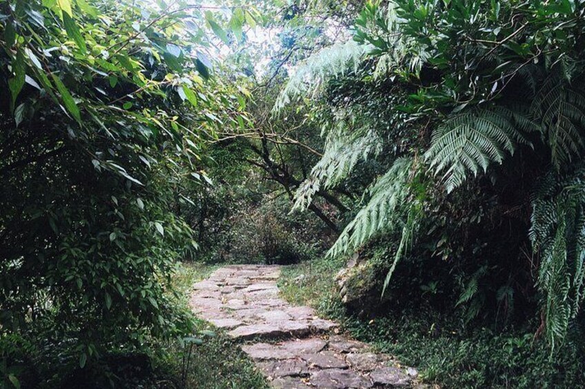 Yangmingshan trail 3
