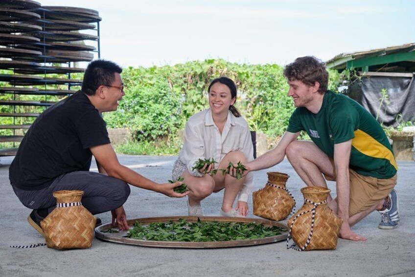 Learn how to pick tea leaves with a local farmer