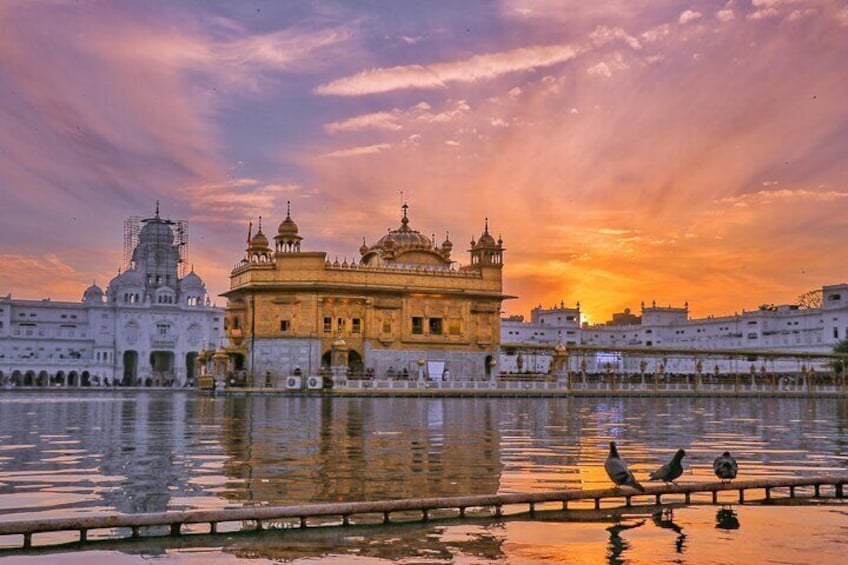 The Golden Temple at sunset with a reflection in the water and two birds on the railing. 3