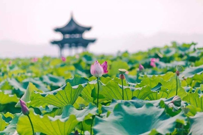 West Lake Hangzhou 3