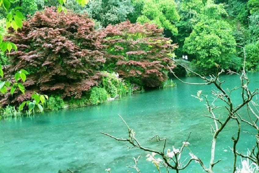 Un río con árboles y vegetación. 4