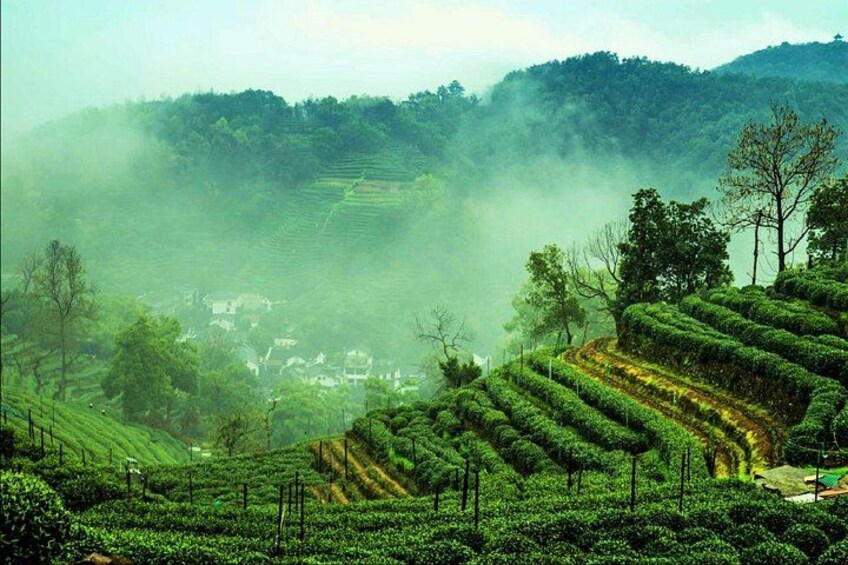Terrazas de plantaciones de té, un paisaje brumoso y un pequeño pueblo. 2