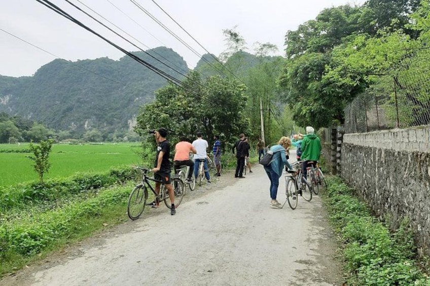 En gruppe cyklister på en smal sti omgivet af grønt og bakker. 4