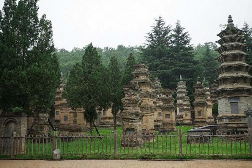 Shaolin Temple 5