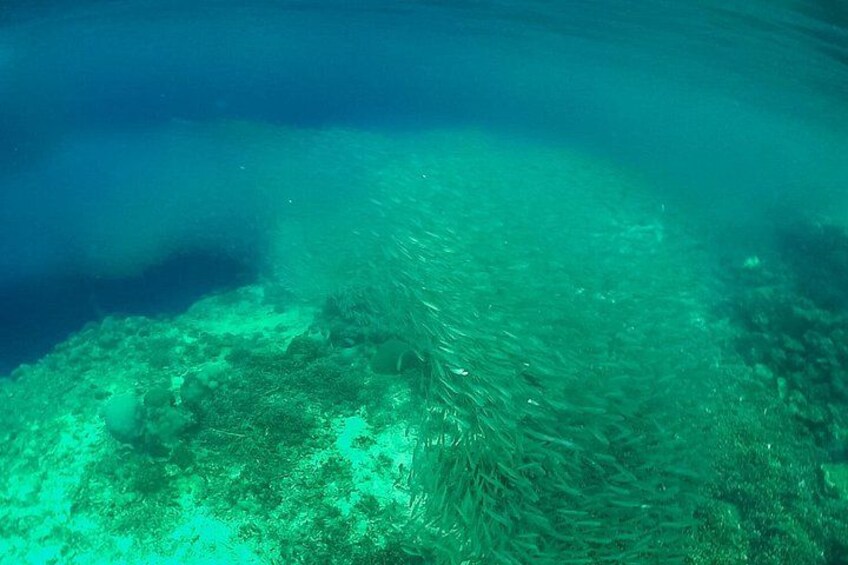 Eine Unterwasseransicht mit Korallenriff und klarem, blauem Wasser. 3