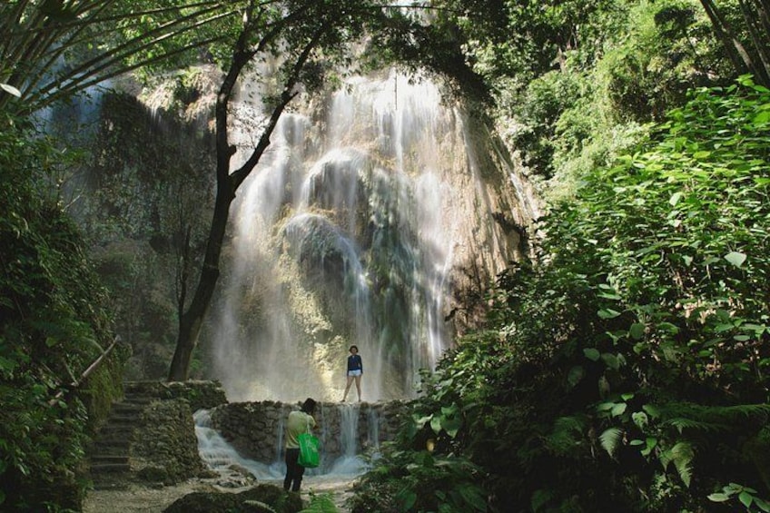 Whale Shark Encounter and Tumalog Waterfalls Tour 4