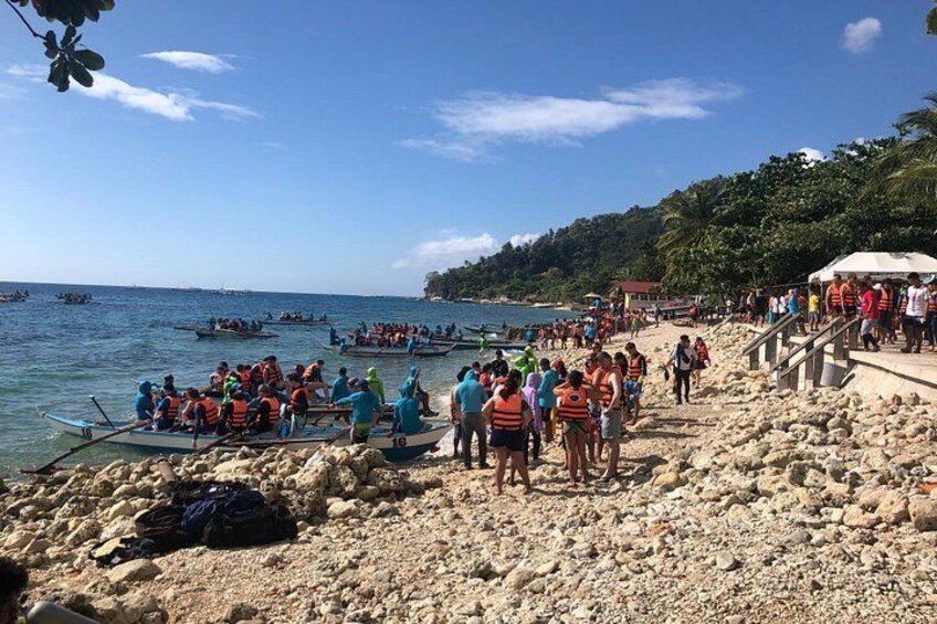 Private Day Tour: Oslob Whaleshark+Tumalog Falls(Sumilon Island) 5
