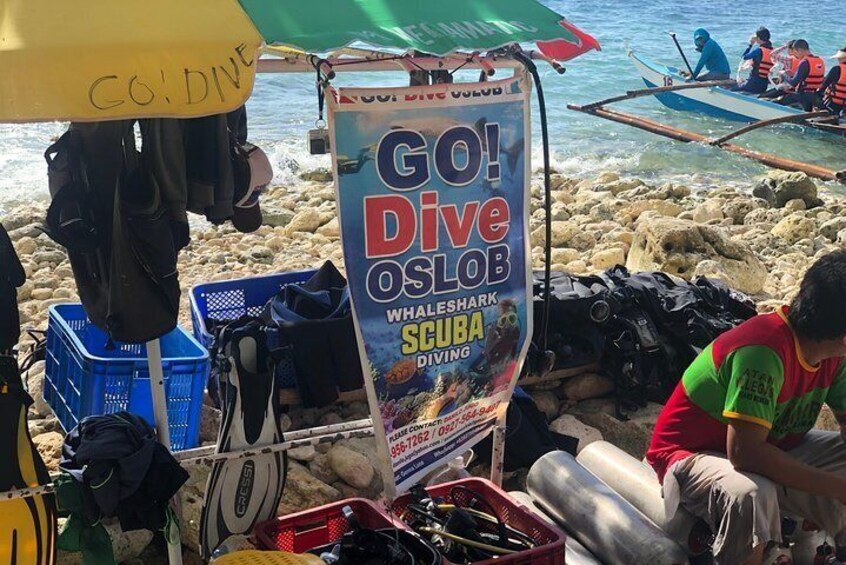 Private Cebu Day Tour: Oslob Whaleshark & Tumalog Falls (Sumilon Island)