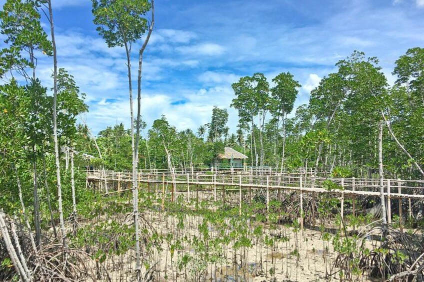 A wooden bridge in a forested area with a small building in the background. 2