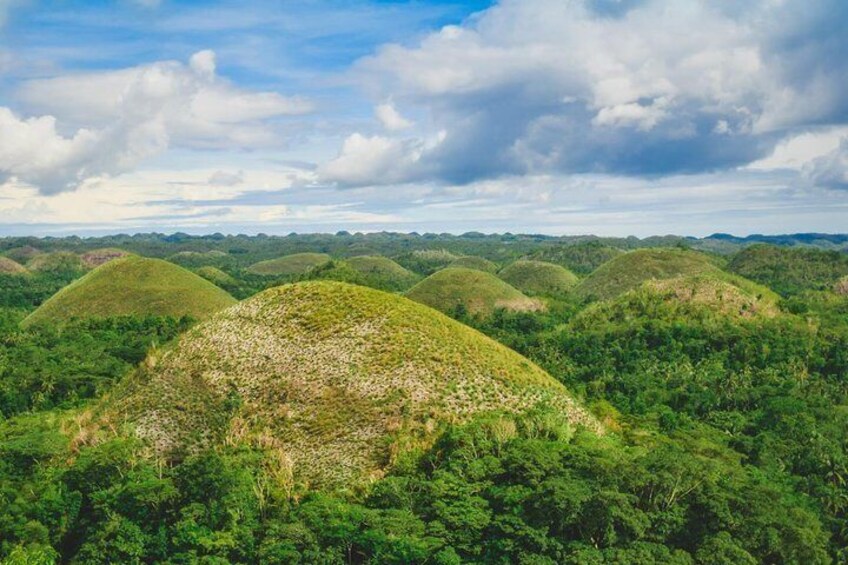 Chocolate Hills