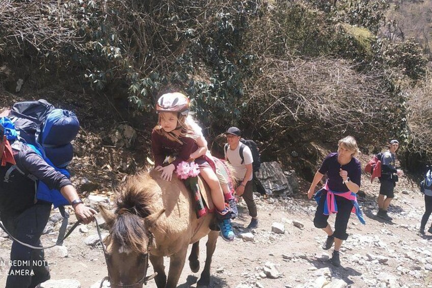 A group of people on a hiking trail with a pony. 2