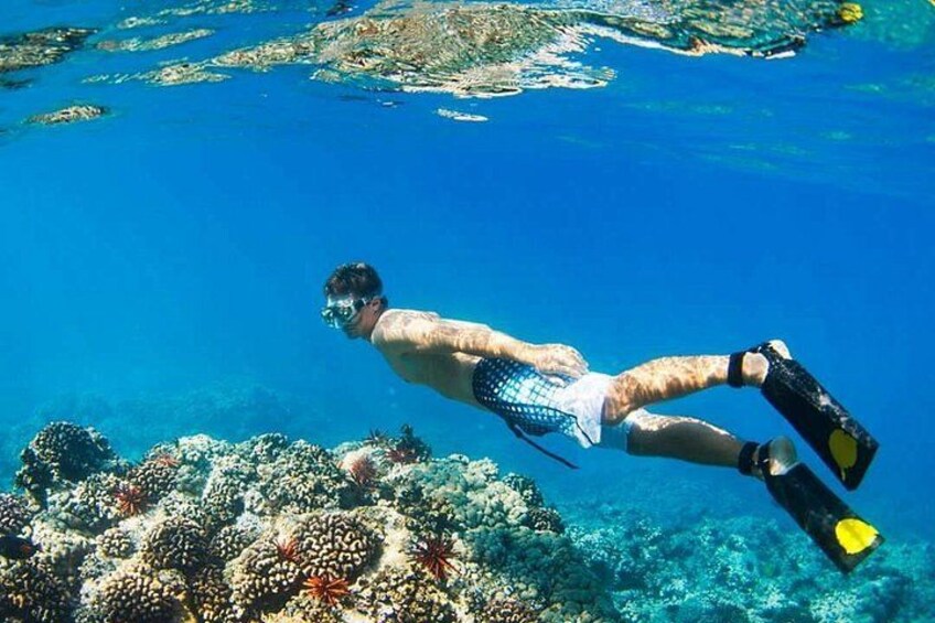 Manukan Island, the Most Popular Island of Sabah 3