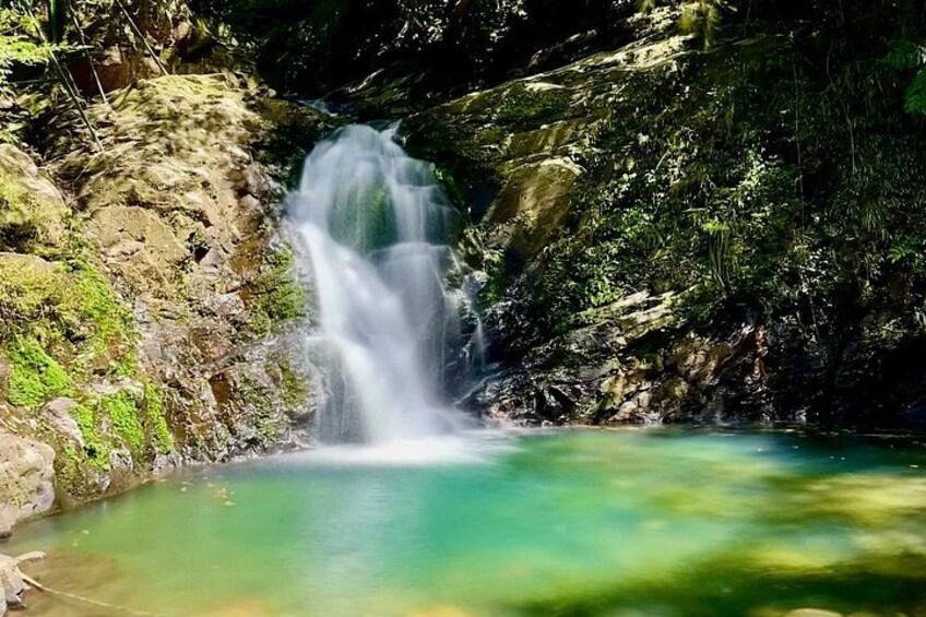 A waterfall cascading into a clear pool surrounded by rocky terrain and greenery. 5